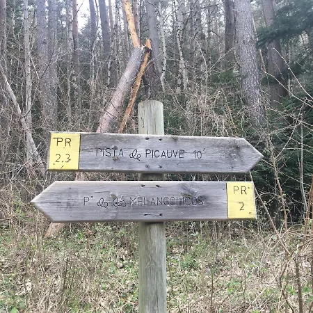 Turisticos Rio Gallego * كانفرانك